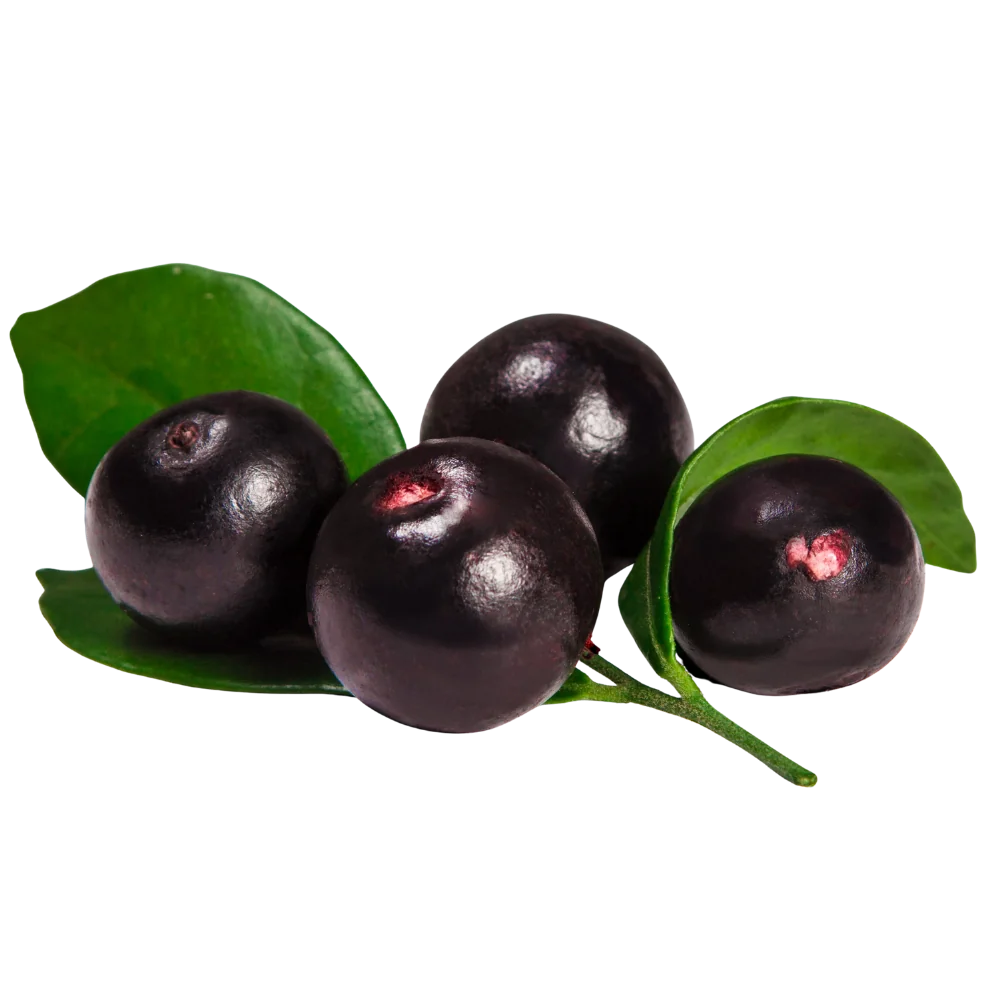 Açaí Purée