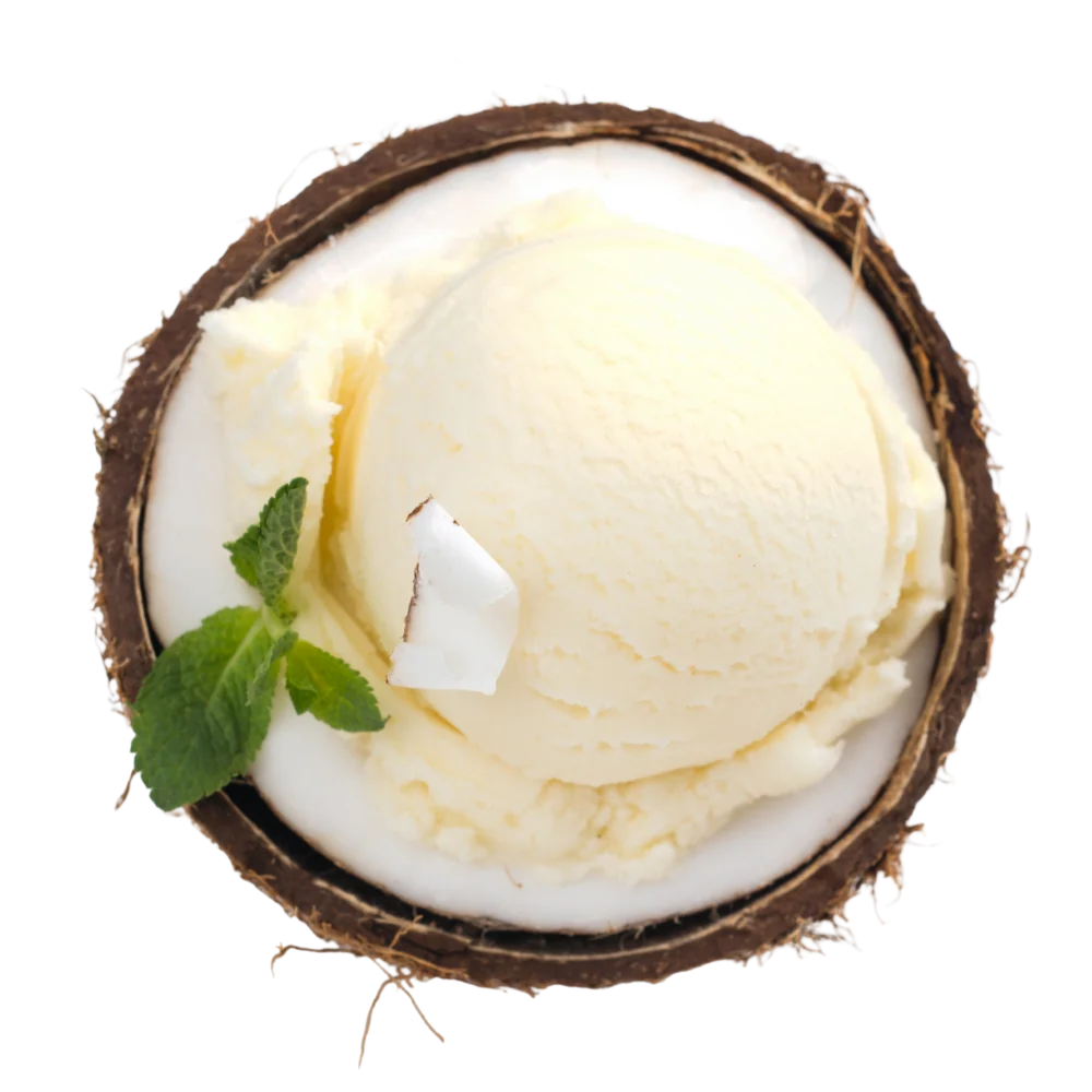 Coconut Shell