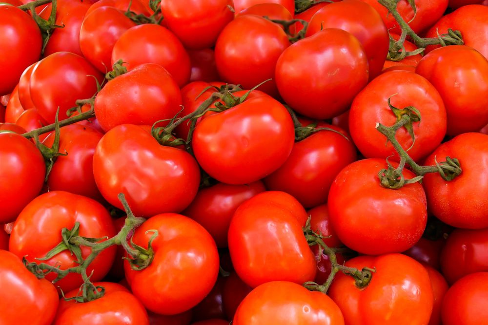 IQF Tomato