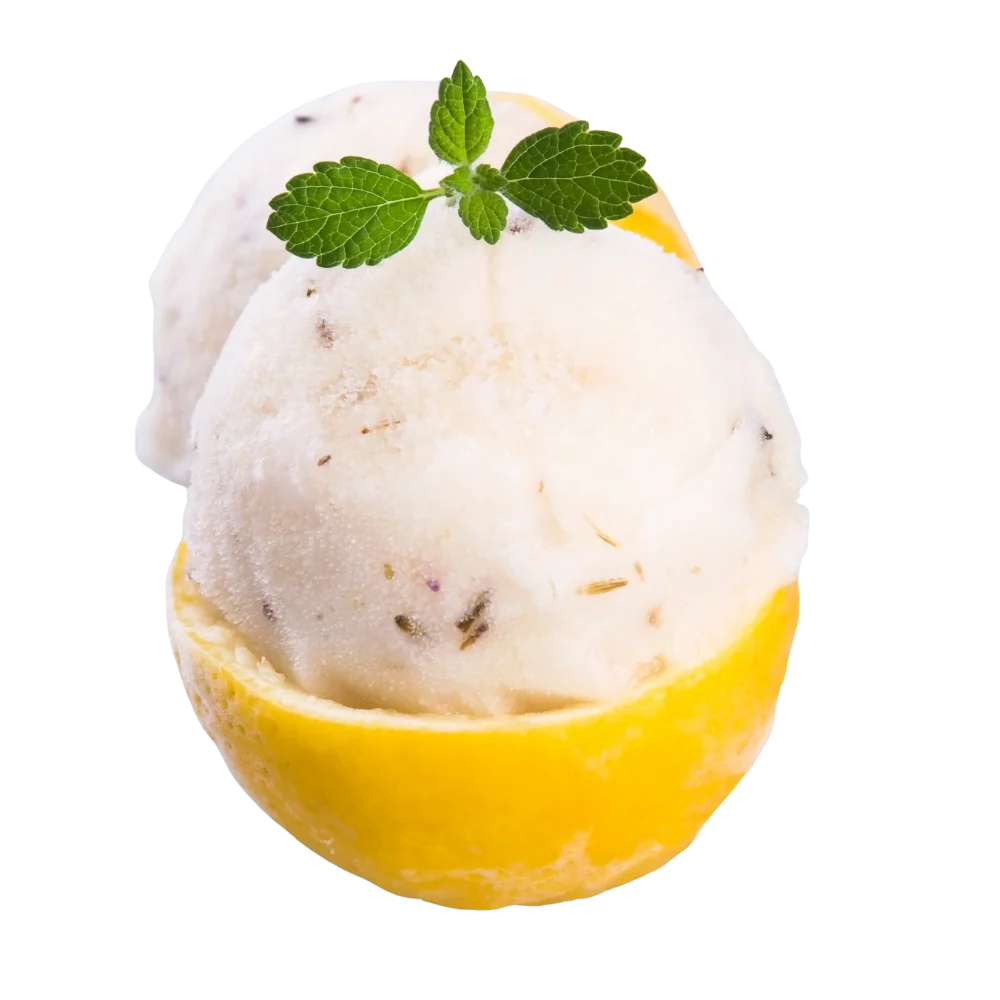 Lemon Shell