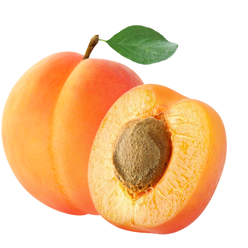 Kayısı Konsantresi