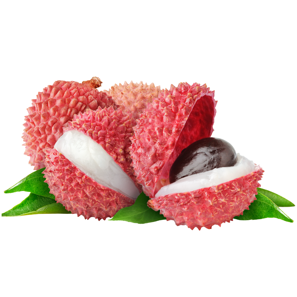 Litchi Suyu Konsantresi