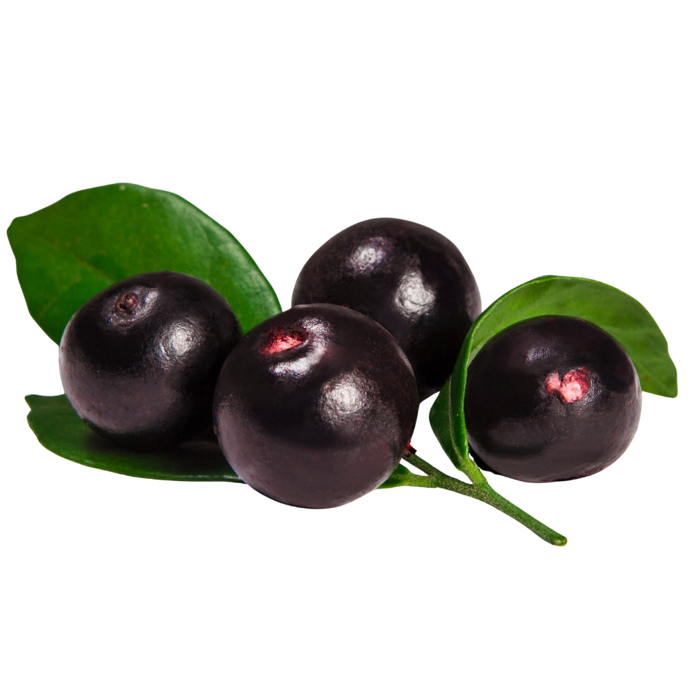 Acai Püresi