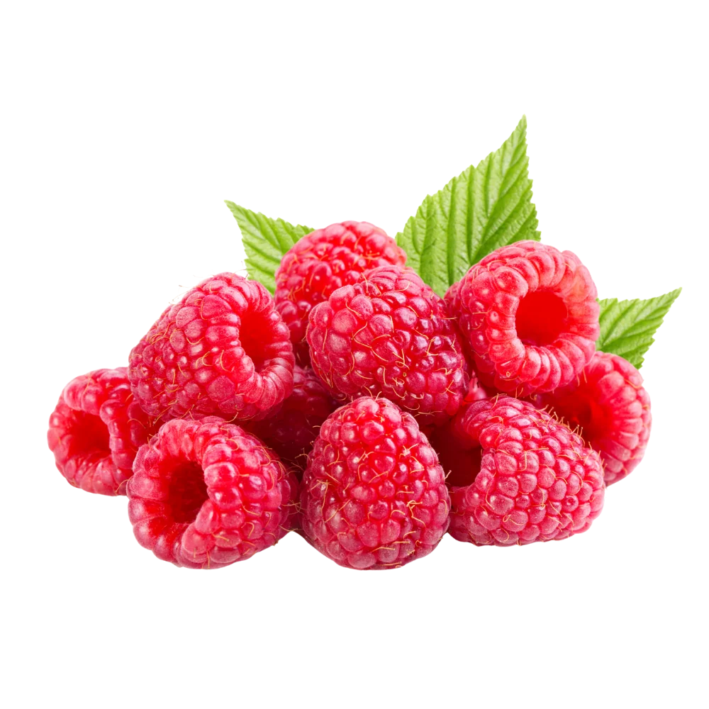 Raspberry Purée Concentrate
